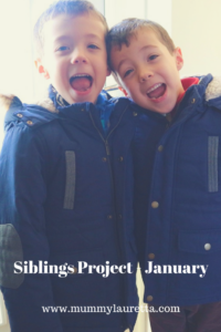 Siblings Project Jan 18 Pin