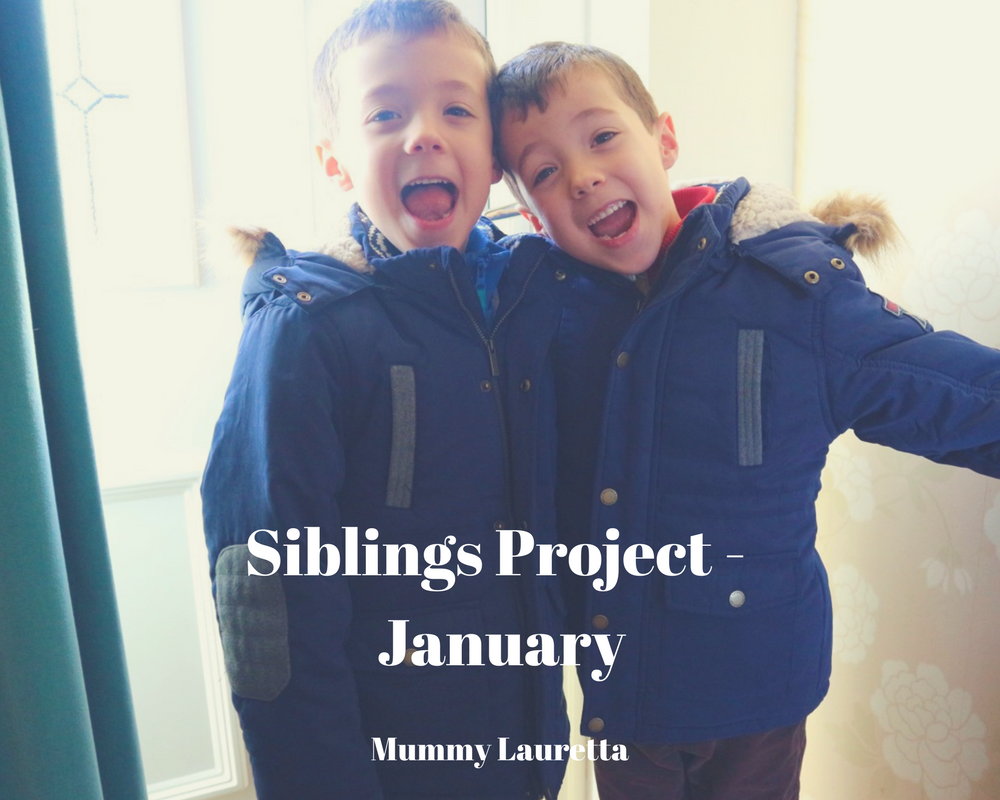 Siblings Project Jan 18 blog