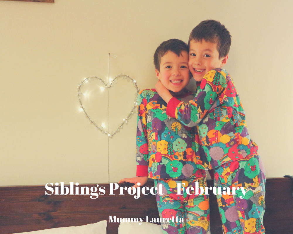 Siblings Project Feb 18 blog