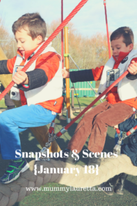 Snapshots & Scenes January 18 Pin