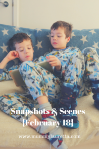 Snapshots & Scenes Feb 18 Pin