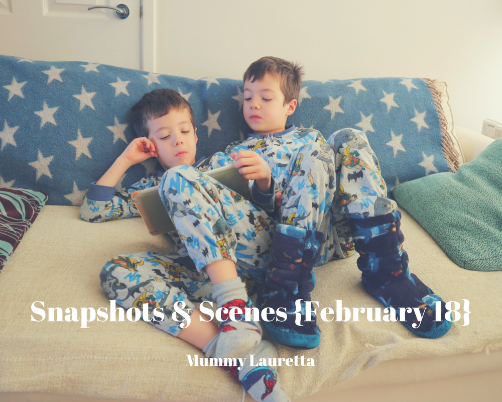 Snapshots & Scenes Feb18 blog