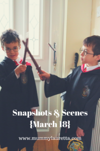 Snapshots & Scenes Mar 18 Pin