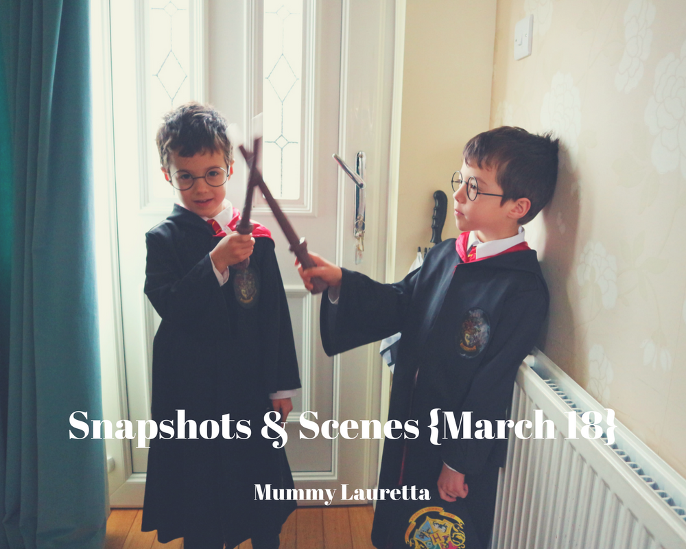 Snapshots & Scenes Mar18 blog