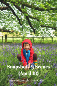 Snapshots & Scenes April 18 Pin