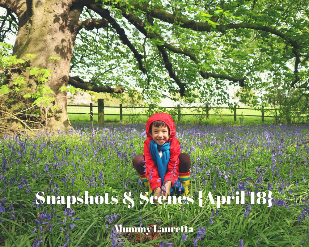 Snapshots & Scenes April 18 blog