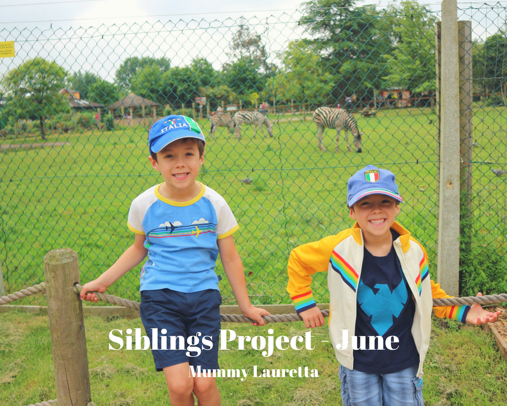 Siblings Project June 18 Blog