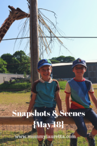 Snapshots & Scenes May 18 Pin