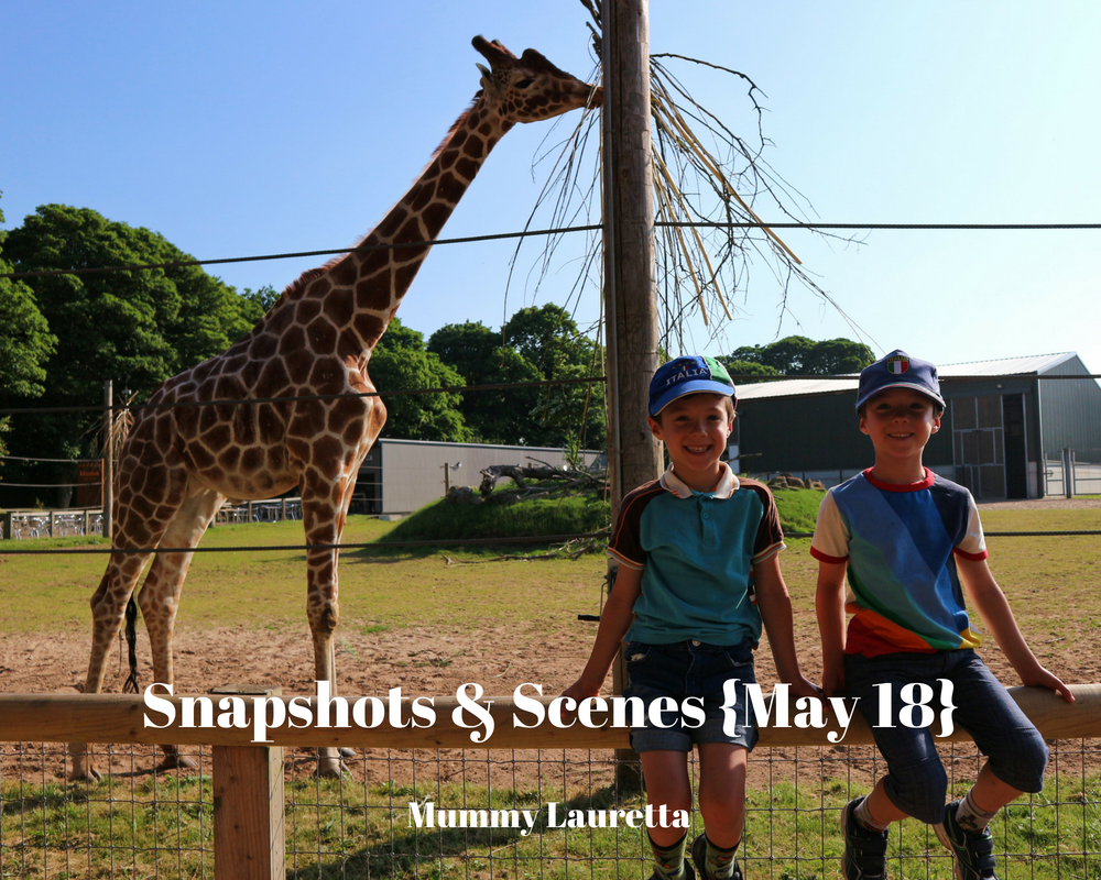 Snapshots & Scenes May 18 blog