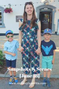 Snapshots & Scenes June 18 Pin