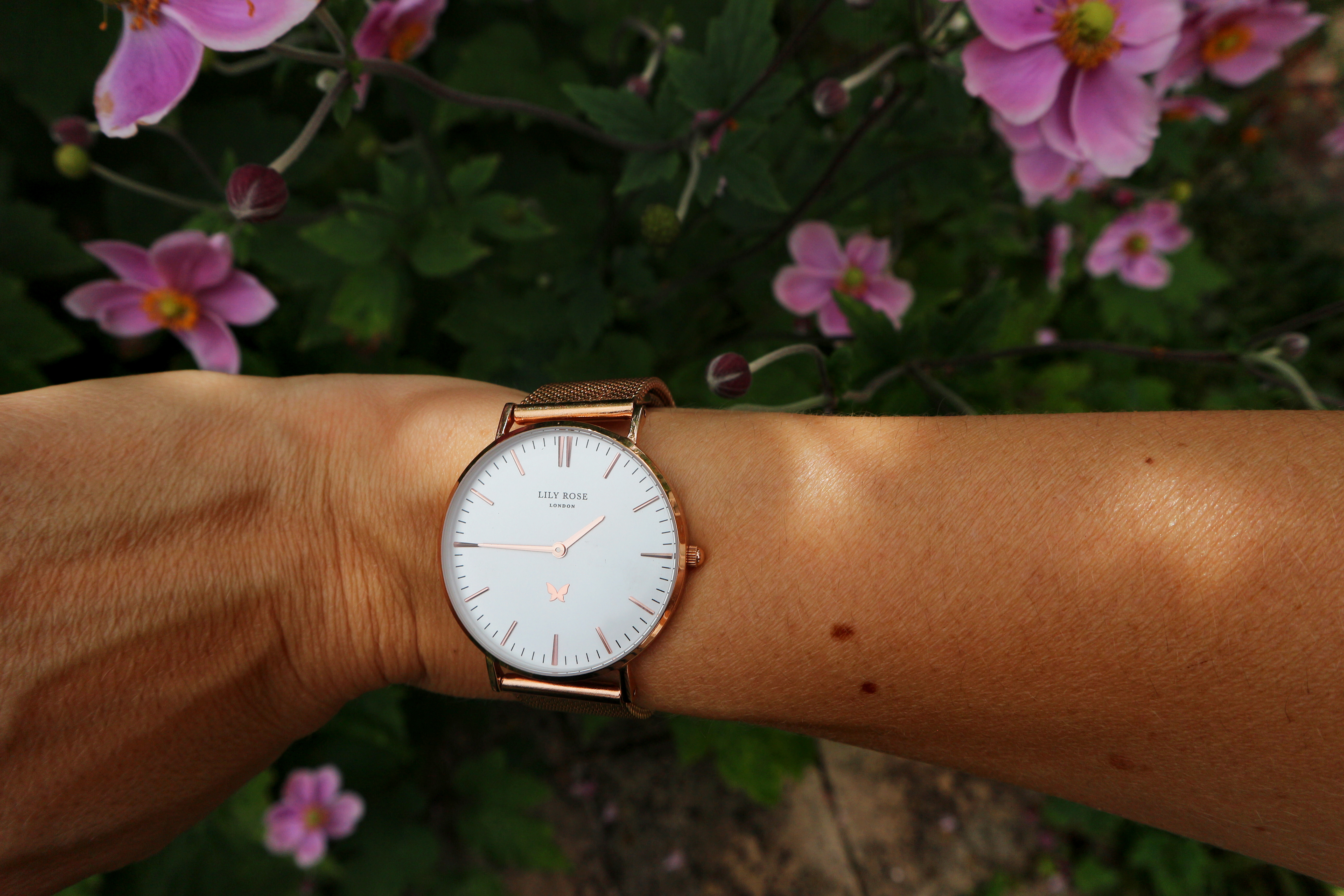 Lily Rose London Watch Giveaway