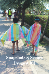 Snapshots & Scenes August 18 Pin
