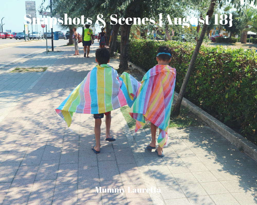 Snapshots & Scenes August 18 blog