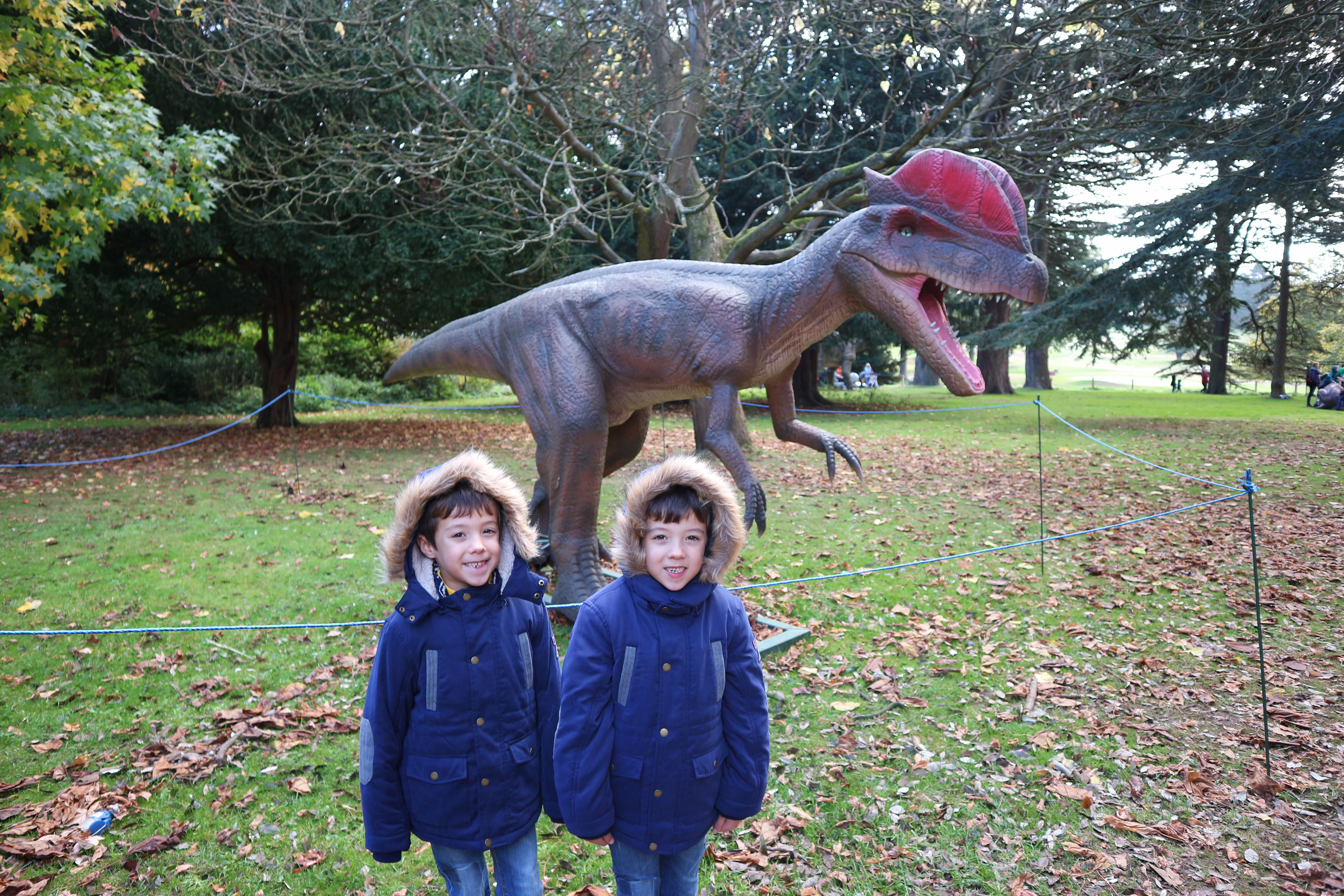 Jurassic Kingdom at Wollaton Park