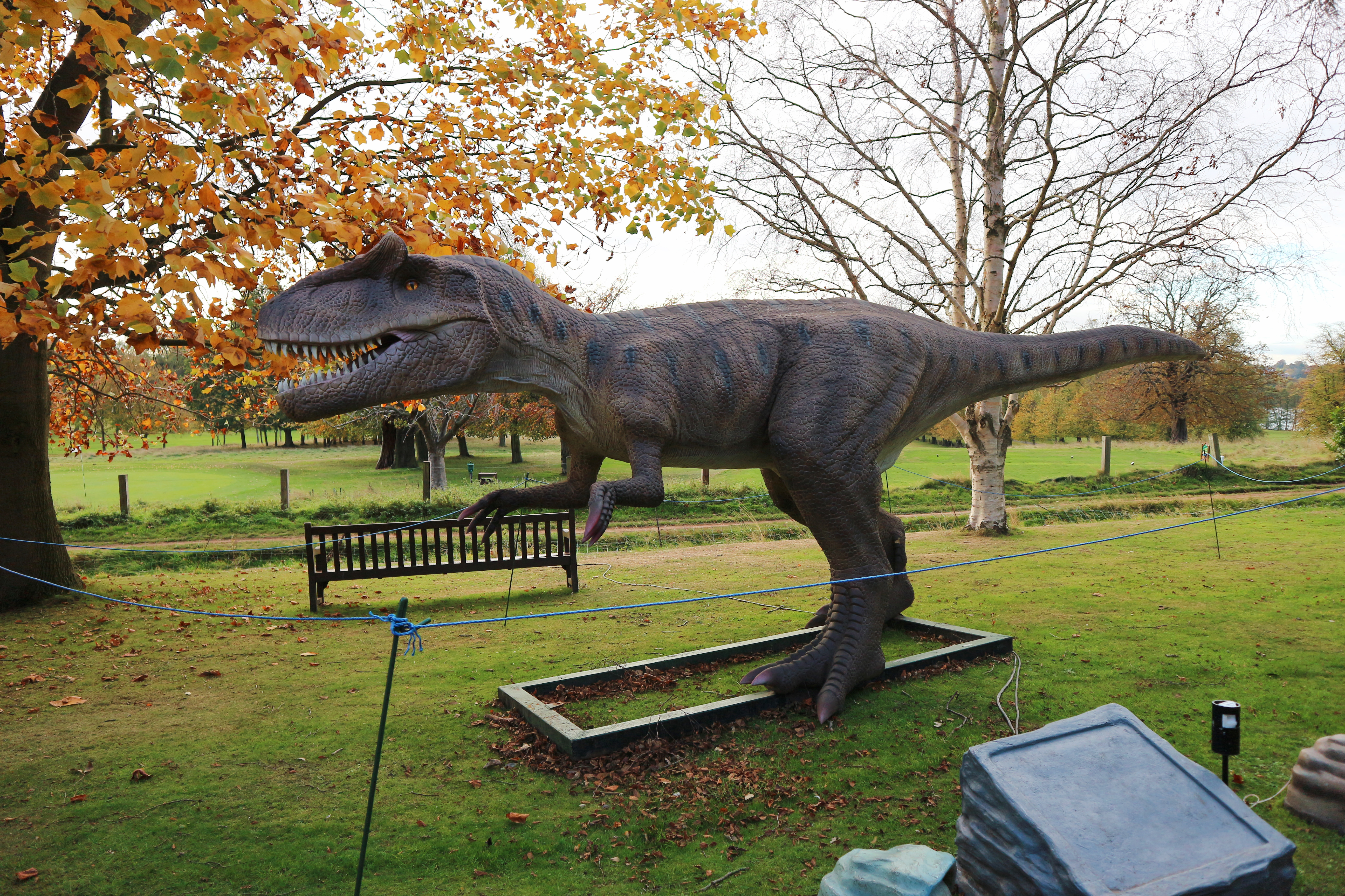 Jurassic Kingdom at Wollaton Park