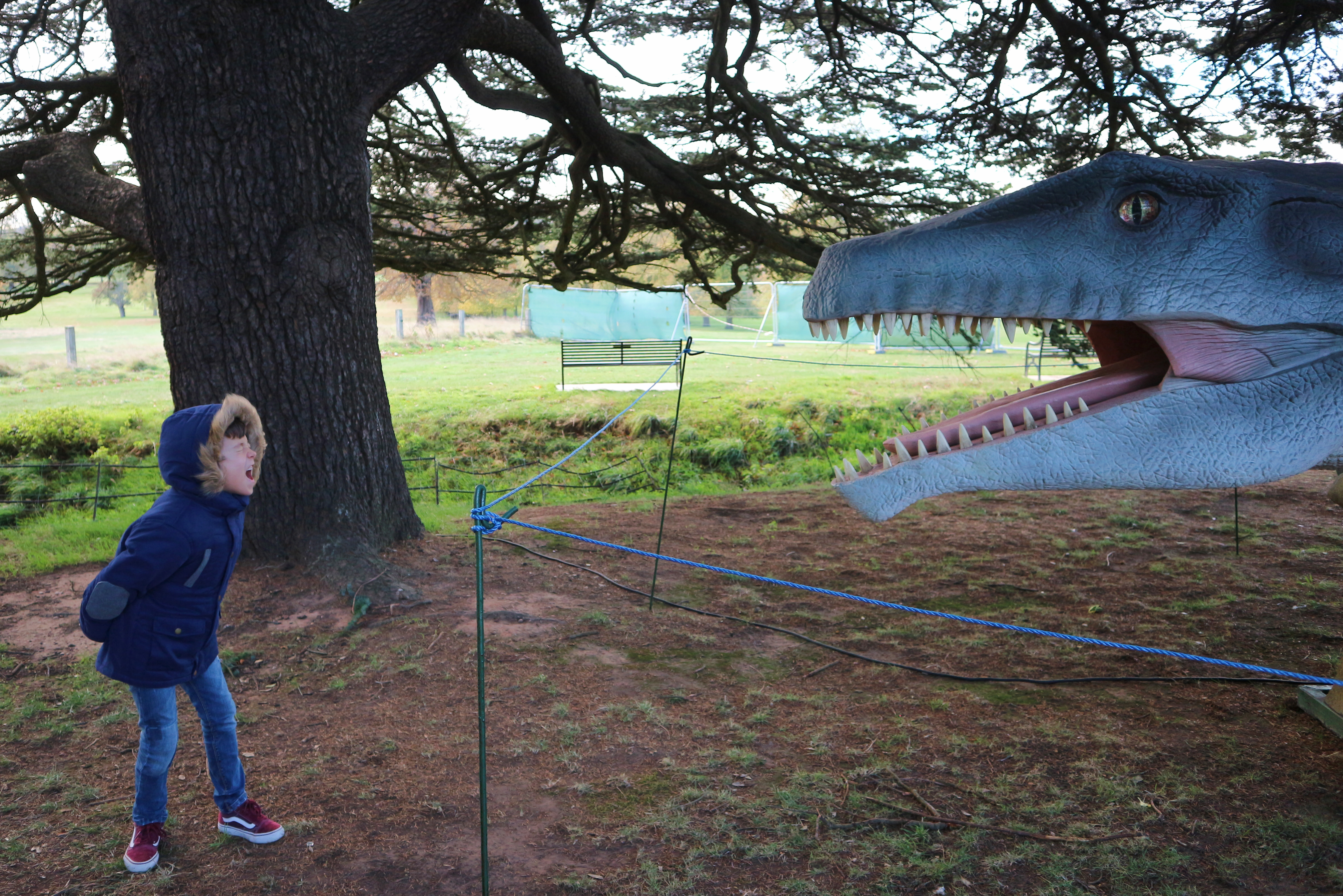 Jurassic Kingdom at Wollaton Park