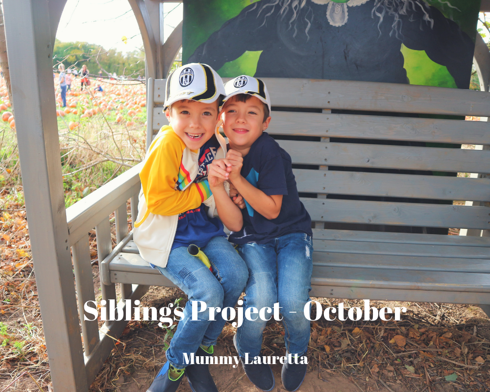 Siblings Project Oct 18 Blog