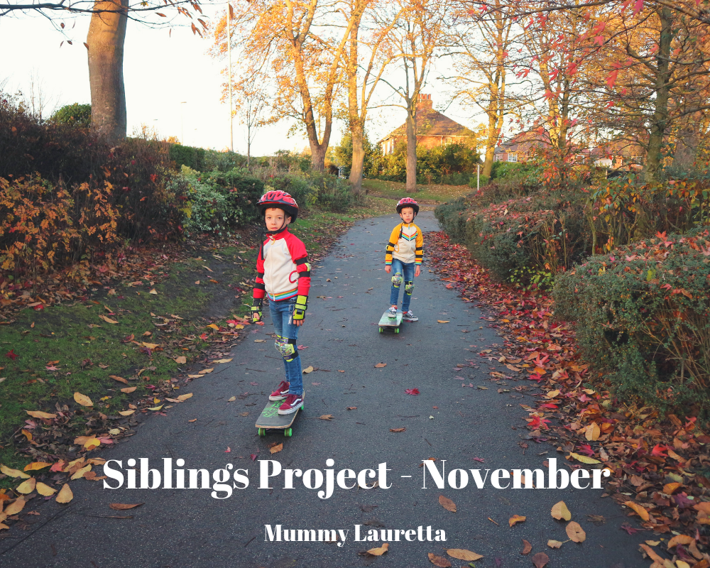Siblings Project Nov 18 Blog