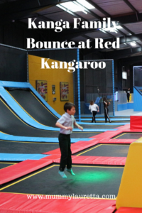Red Kangaroo Review Pin