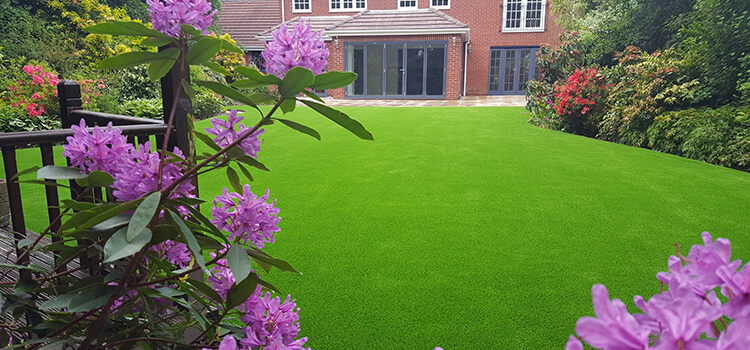 Artificial Grass